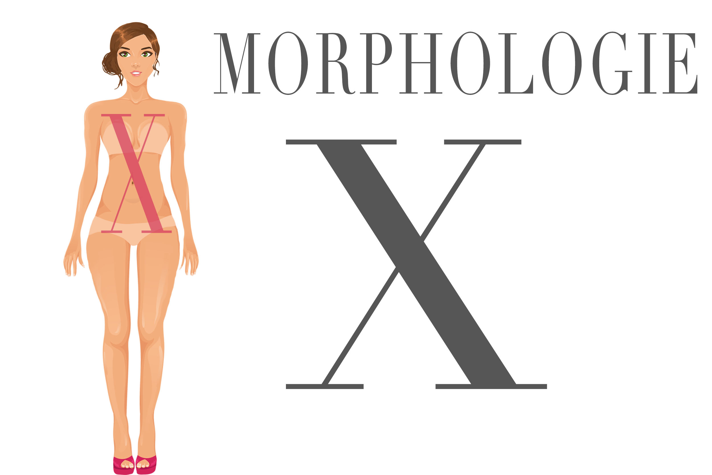morphologie x